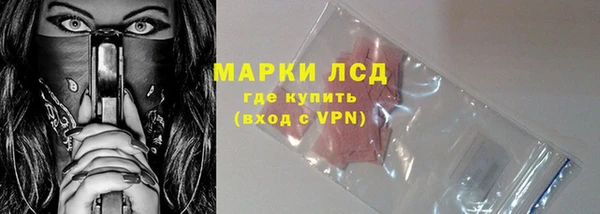 ПСИЛОЦИБИНОВЫЕ ГРИБЫ Алзамай