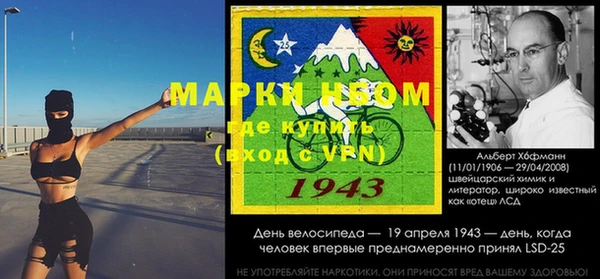 гашик Алексеевка