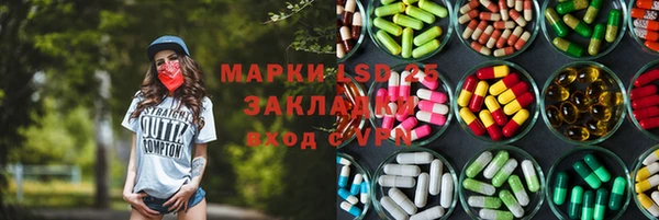 ПСИЛОЦИБИНОВЫЕ ГРИБЫ Алзамай