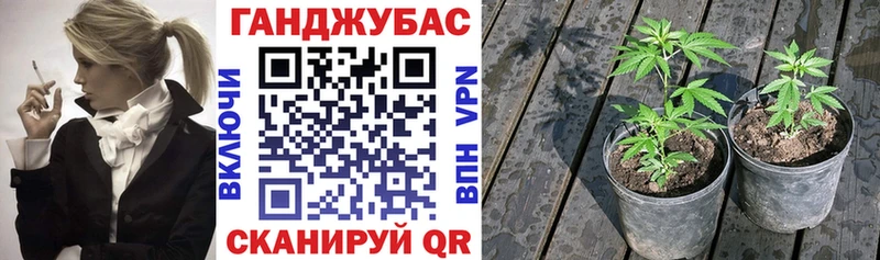 Шишки марихуана план Боровск